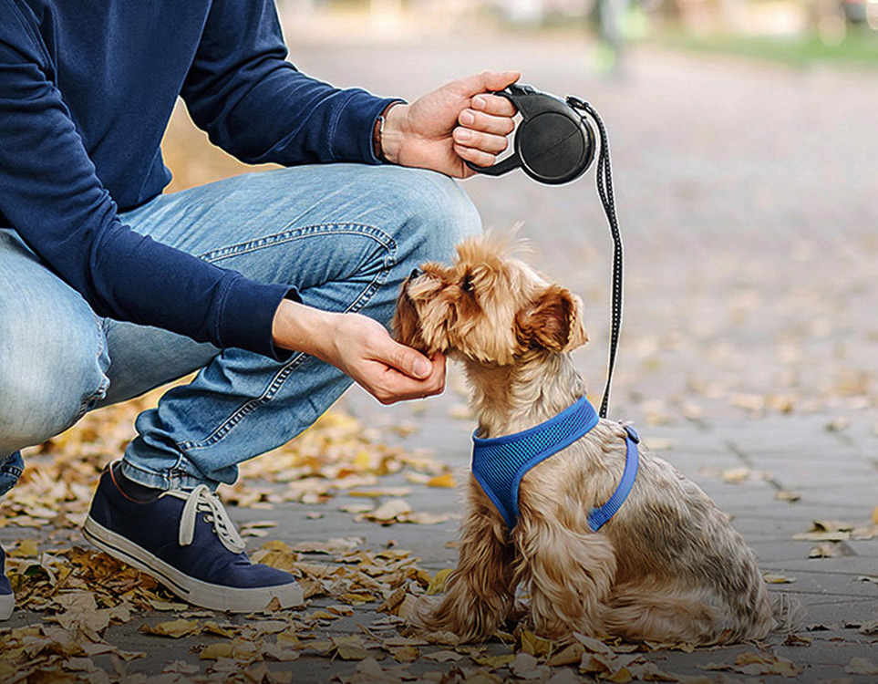 Pet Leash